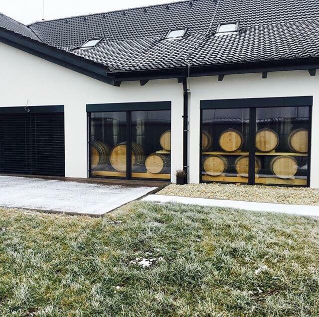 Penzion Vinarstvi Bilkovi Velké Bílovice Exterior foto